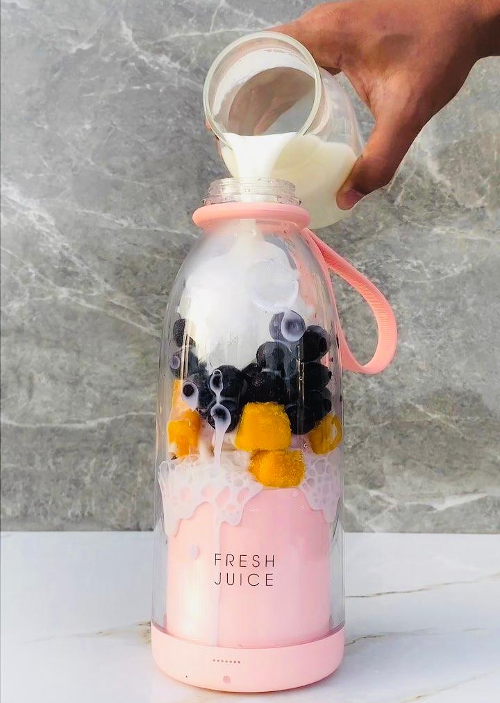 Portable mini juicer blender